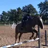.cami.equitacion