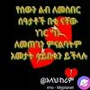 seenaa048