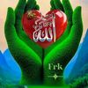 user8033440425987