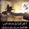 ait.barka.khalid