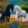 user8080171248810