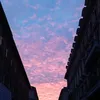 irex_30