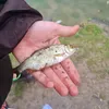 outdoorlads11