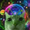 ijustreallylovecatsok