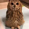 twenythird