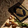 www.mohammed.0044
