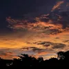 alaura_05