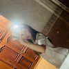 anet_l1