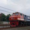 arya44233