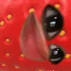 shamelasacop