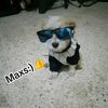 elpana_maxs1