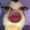 irishfausenteirish7