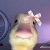 apaa.aja.sih