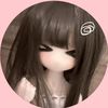 am_hasfy_312s