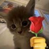 key_ptriiii