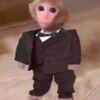 el_chango27