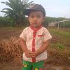 kl744008bxo