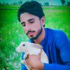 userabbasbalochofficial