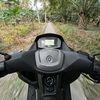 whyudn23_