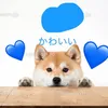 user2838761226945