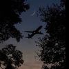 sky_anya148