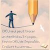 user4483403666812