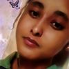 sosna29