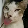 izumiiiii10_