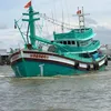nguyen.qun43