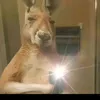 jorge_0001100