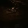as_2025556