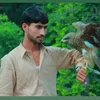 faisalawan7777