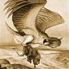 the.flying.somali