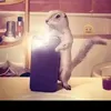 resina_22