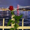 user7784436207012