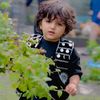 naib.ullah32