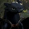 rishabh.dragon