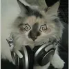 fluffy_5336