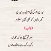 muhammad.majid408