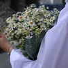 ailmohamad300
