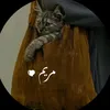 bb__5000
