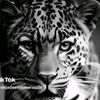 user2079706685966