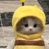 user0ff8djbebs