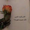 dina.ali332