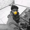gustapah