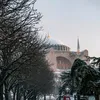 atif.ali1024