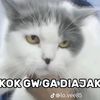 rendigegeneng