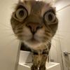 deaawww35