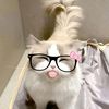 hhhee_29