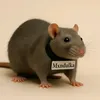 mendulka